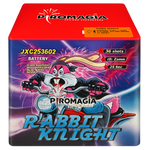 spettacolo 36 lanci tubetto 25 mm