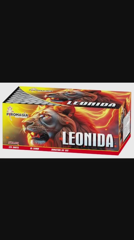 NYA128 - LEONIDA